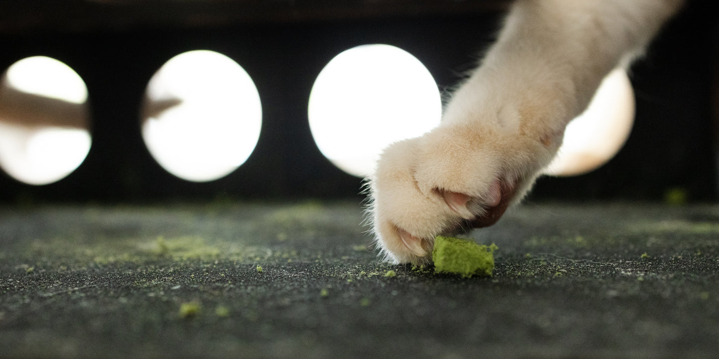 Replacement Nail File Paper