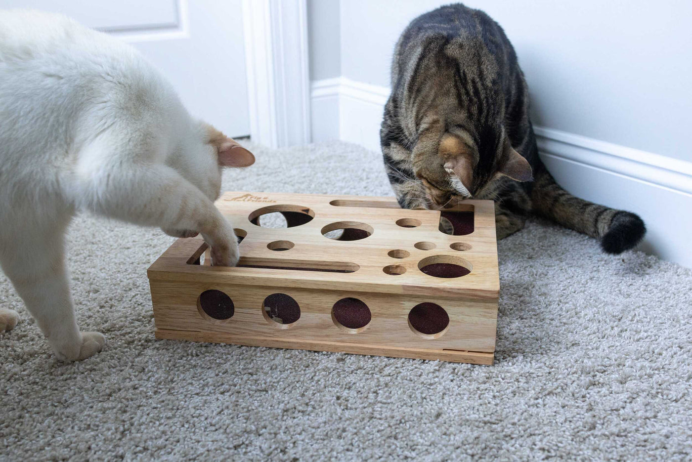 Trim your cat's nails[without the stress.]